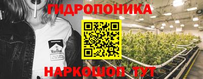 стафф Краснокаменск