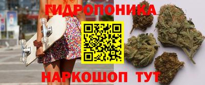 стафф Краснокаменск