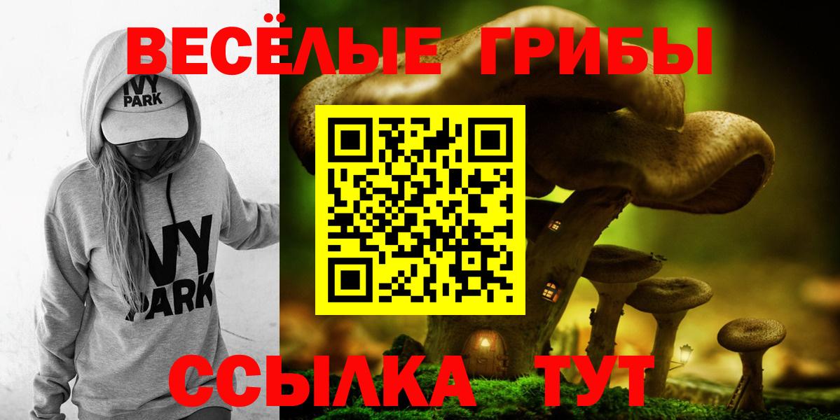 Галлюциногенные грибы Psilocybe Урюпинск
